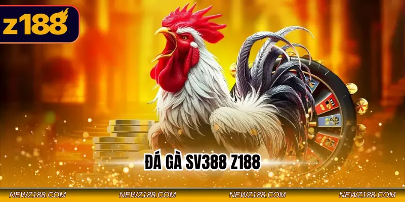 Đá gà SV388 Z188
