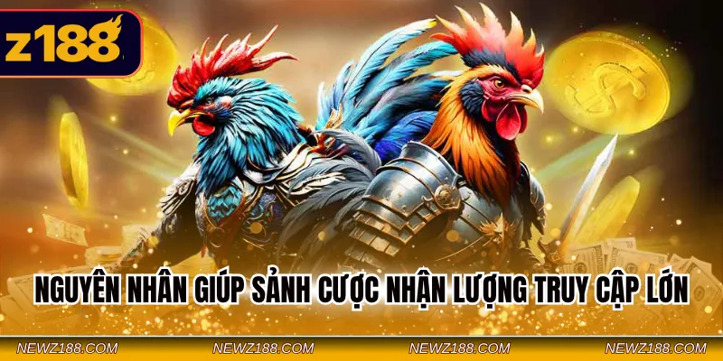 Nguyên nhân giúp sảnh cược nhận lượng truy cập lớn