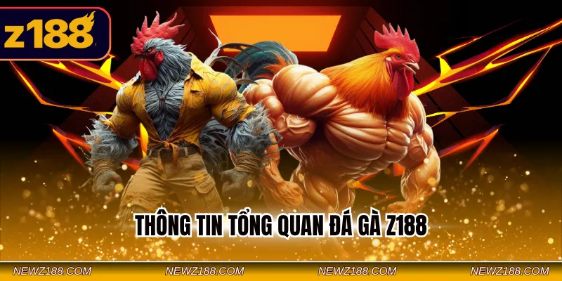 Thông tin tổng quan đá gà Z188
